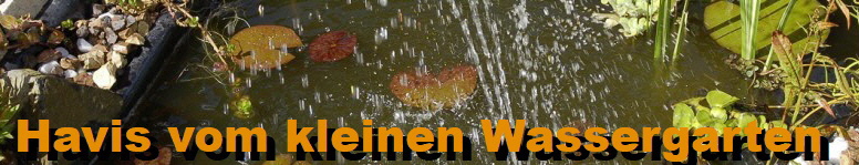 Woche 5 - havis-vom-kleinen-wassergarten.de
